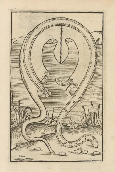 Vier Bucher Der Ritterschafft Pl 043
