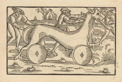 Vier Bucher Der Ritterschafft Pl 116