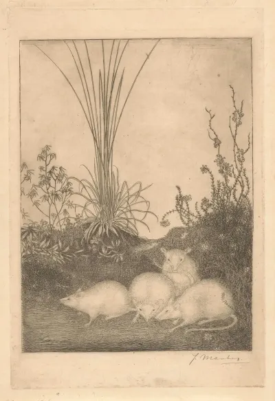Vier Muizen