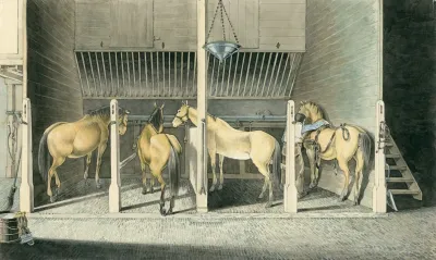 Vier Paarden In Stalboxen Scharreweide