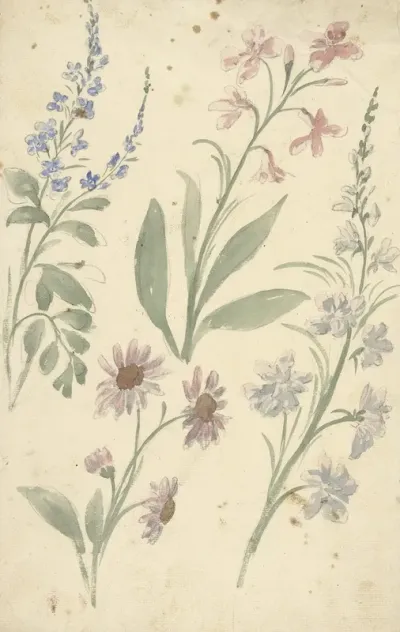 Vier Studies Van Roze En Blauwe Bloemen