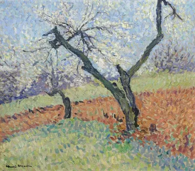 Vieux Pruniers