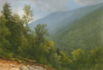 View Down The Valley