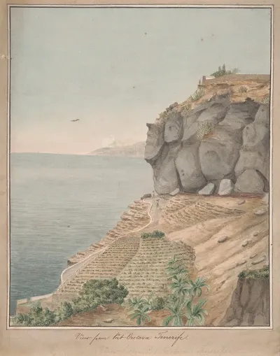 View From Port Orotava Tenerife