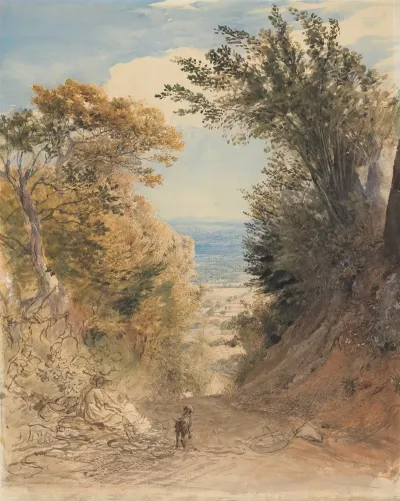 View From Rooks Hill Kent 2