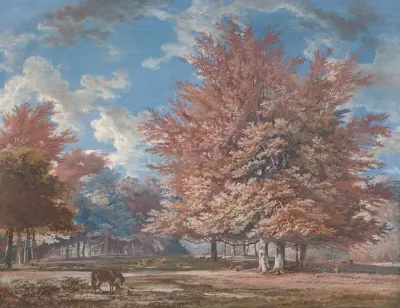 View In A Park