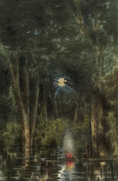 View In The Chickahominy Swamp