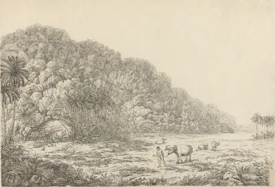 View In The Island Of Pulo Condore 2