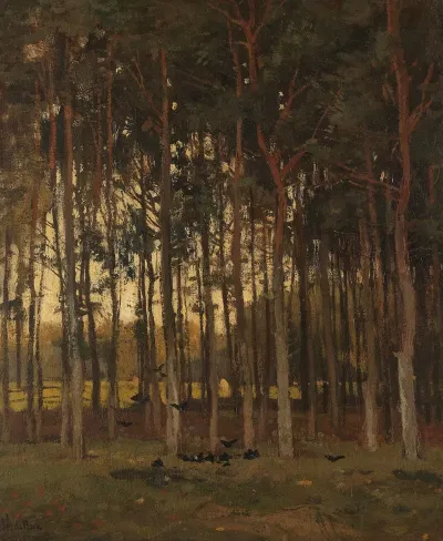 View In The Woods 5