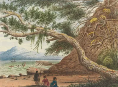 View Near Auckland Maori Warrior And Women