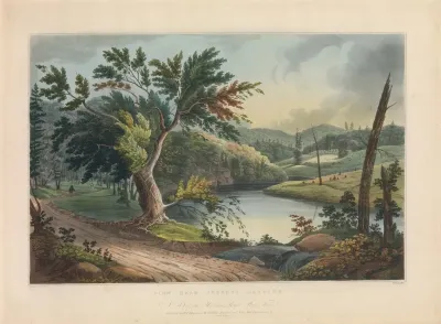 View Near Jessups Landing 2