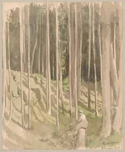 View Of A Forest In Sackingen
