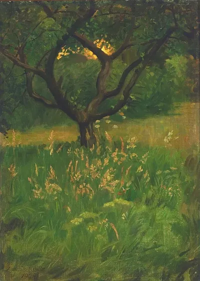 View Of A Garden
