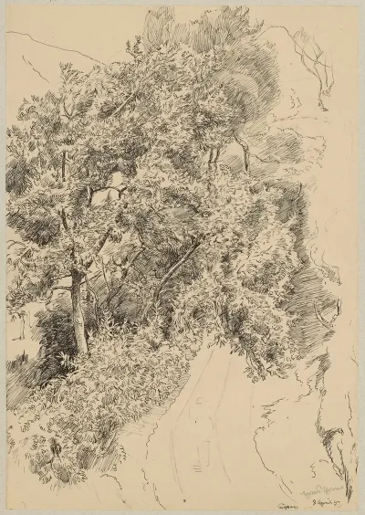 View Of A Mountain Road Among Trees In Cargnaco
