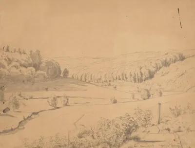 View Of A Vast Valley With Slopes Overgrown With Trees