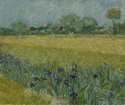 View Of Arles With Irises