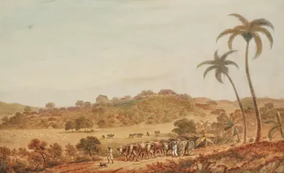 View Of Barbados