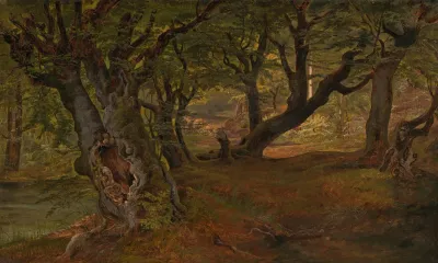 View Of Bregentved Forest Sjaeeland