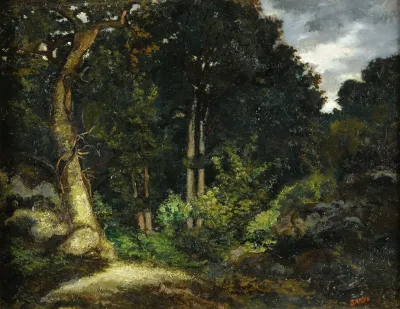 View Of Fontainebleau Forest