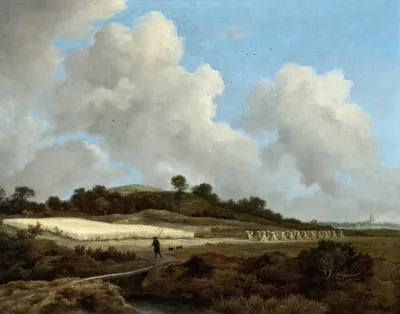 View Of Grainfields With A Distant Town