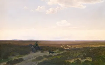 View Of Parup Moors Near Silkeborg Jutland