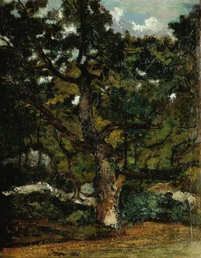 View Of The Fontainebleau Forest