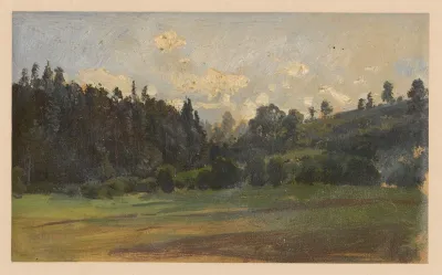 View Of The Verge Of A Forest In Ksiaz