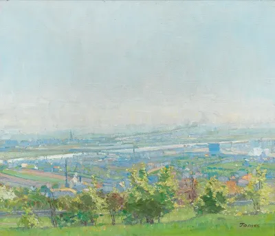 View Of Vienna From Grinzing