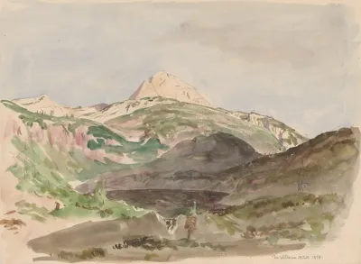 View Of Wildesee