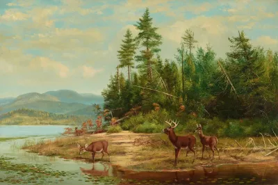 View On Long Lake