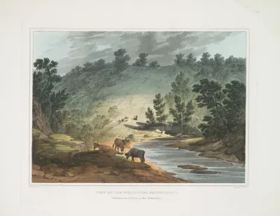 View On The Wisahiccon Pennsylvania