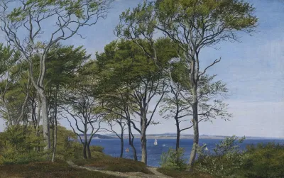 View Through Beech Trees Across A Fiord
