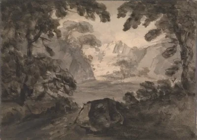View Through The Trees