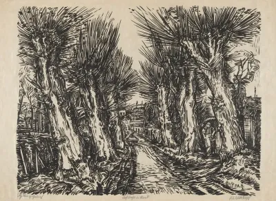 Village Road In Arrode