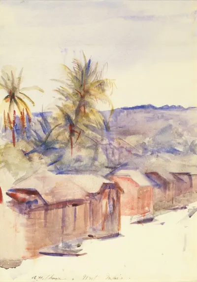 Village Street Dominica