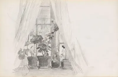 Vindu Med Blomster