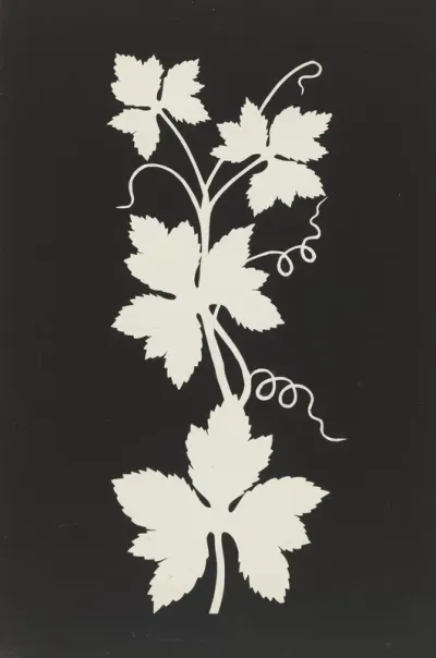 Vine Leaves 2