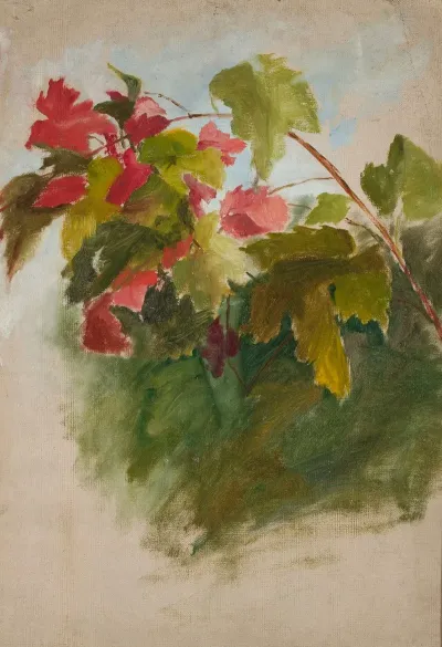 Vine Leaves