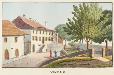 Vinelz