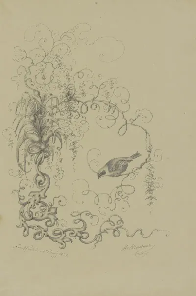 Vines With A Finch