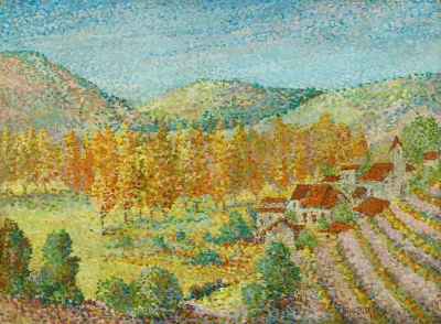 Vineyard In Southern France