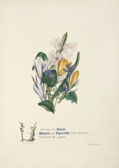 Violet Crocus And Hyacinth