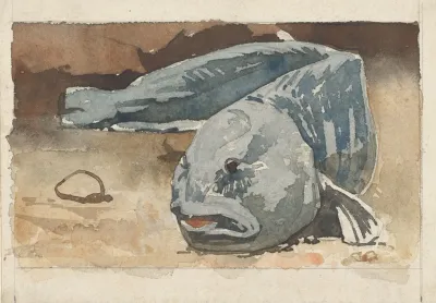 Vis 2
