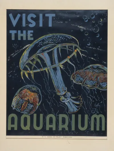 Visit The Aquarium