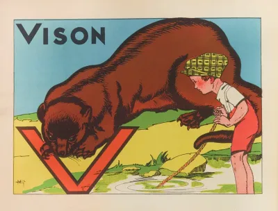Vison
