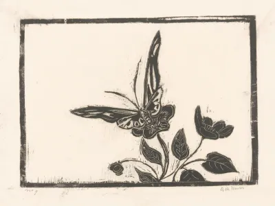 Vlinder Op Een Bloem