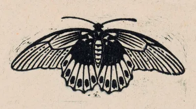 Vlinder