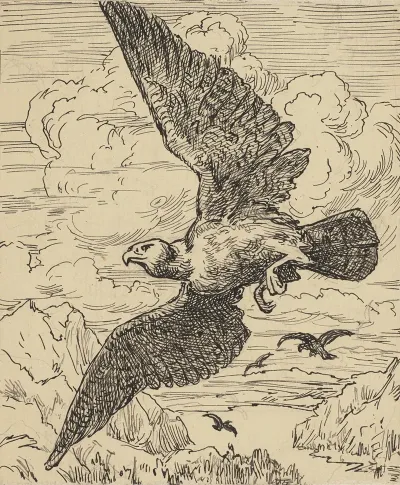 Vogel 3