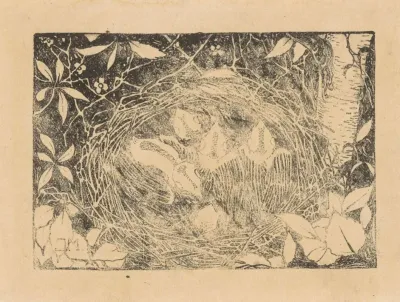 Vogelnest