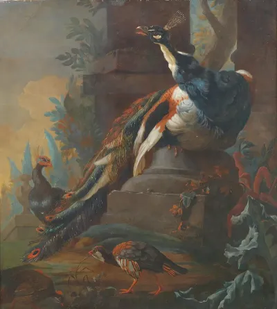 Vogels Bij Een Ruine